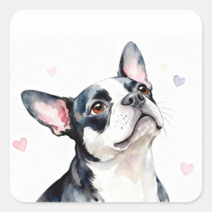 Boston Terrier Dog with Hearts Square Sticker