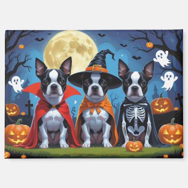 Boston Terrier Dogs Pumpkin Halloween Funny Magnet (Front)