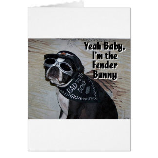Boston Terrier: Fender Bunny