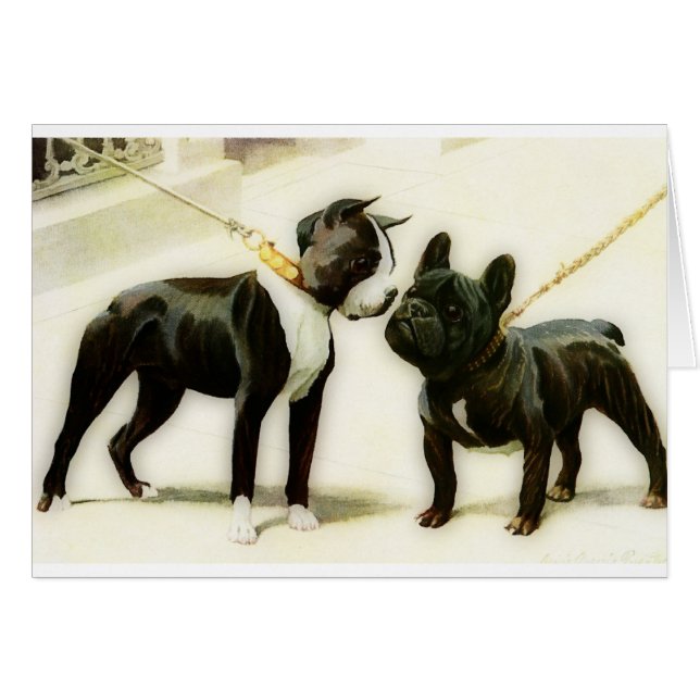 BOSTON TERRIER&FRENCH BULLDOG (Front Horizontal)