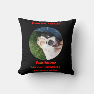 Boston Terrier - Fun Haver Cushion