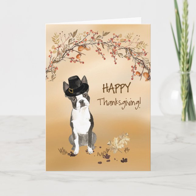 Boston Terrier Funny Pilgrim Hat Thanksgiving Card (Front)