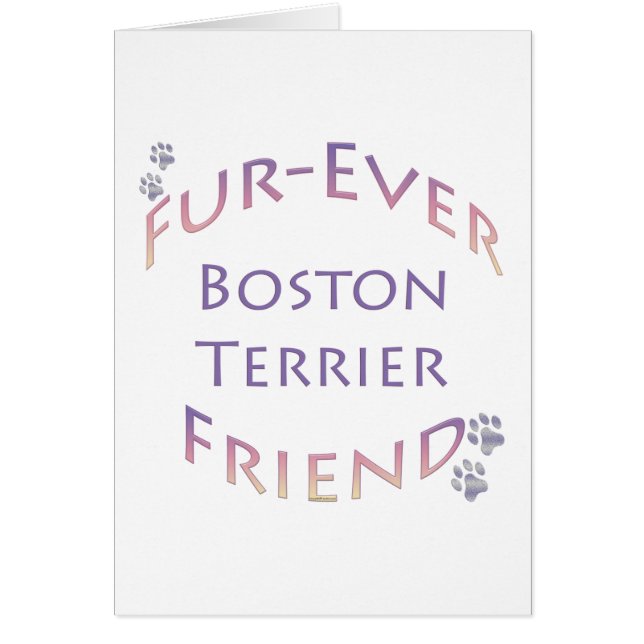 Boston Terrier Furever (Front)