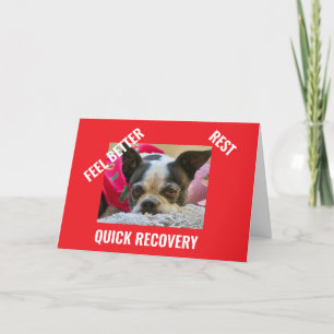 BOSTON TERRIER get well card