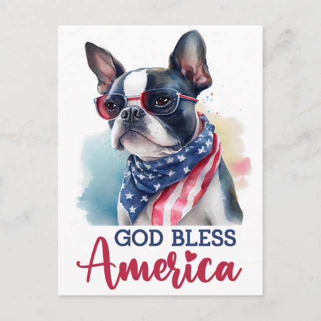 Boston Terrier, God Bless America Postcard (Front)