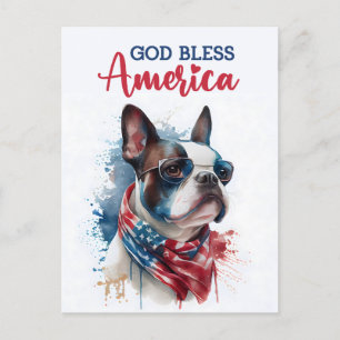 Boston Terrier, God Bless America Postcard