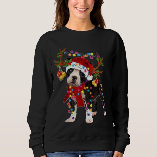 Boston Terrier Gorgeous Reindeer Light Wire Fox Te Sweatshirt (Front)