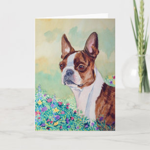 Boston Terrier Greeting Cards