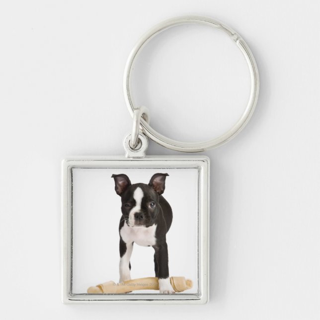 Boston terrier guarding twisty bone key ring (Front)