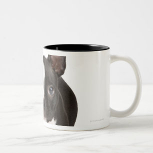 Boston terrier guarding twisty bone Two-Tone coffee mug