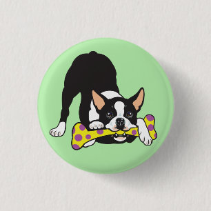 Boston Terrier. Happy go lucky 3 Cm Round Badge
