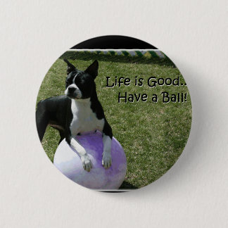 Boston Terrier:  Have a Ball! 6 Cm Round Badge