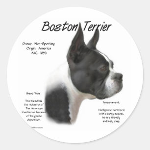 Boston Terrier History Design Classic Round Sticker