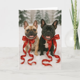 Boston Terrier Holiday Card
