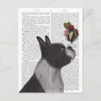 Boston Terrier Ice Cream