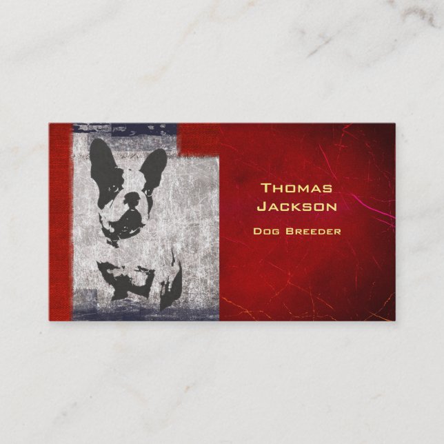 Boston Terrier in Black and White With Red Border Business Card (Front)