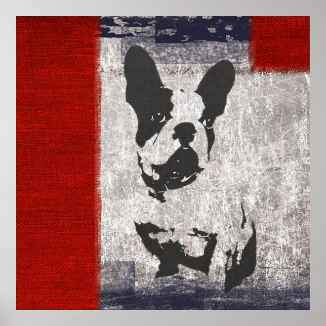 Boston Terrier in Black and White With Red Border Poster (Front)