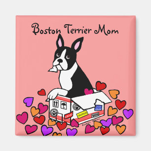 Boston Terrier in the Box Cartoon Magnet