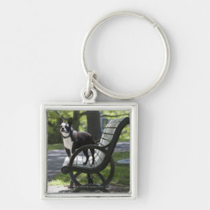 Boston Terrier Key Ring