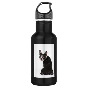 Boston Terrier Liberty 532 Ml Water Bottle