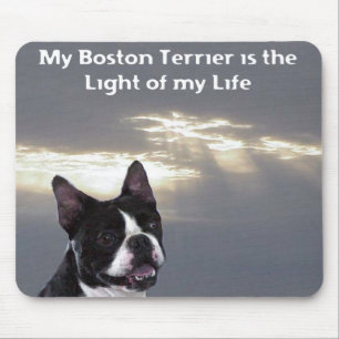 Boston Terrier:  Light of my Life Mouse Pad