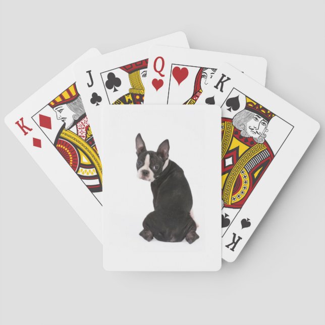 Boston Terrier Looking at You Playing Cards (Back)