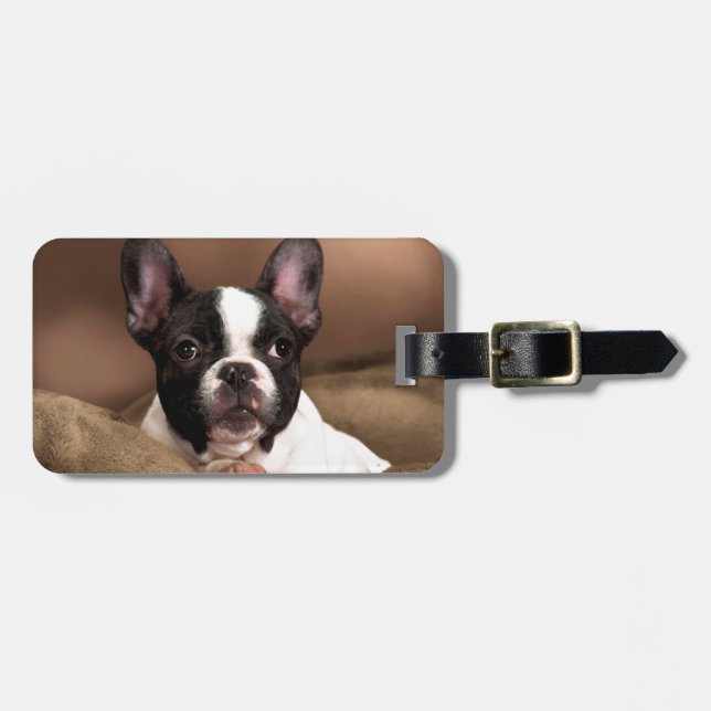 Boston Terrier Luggage Tag (Front Horizontal)