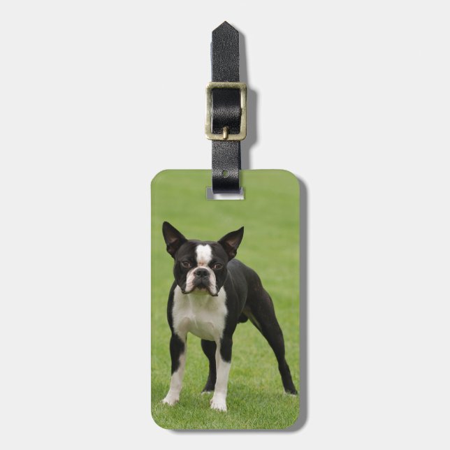 Boston terrier luggage tag (Front Vertical)