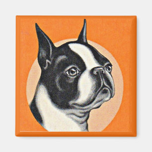 Boston terrier magnet