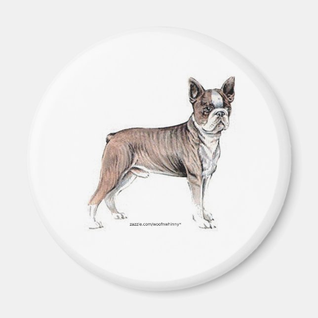 Boston Terrier Magnet (Front)