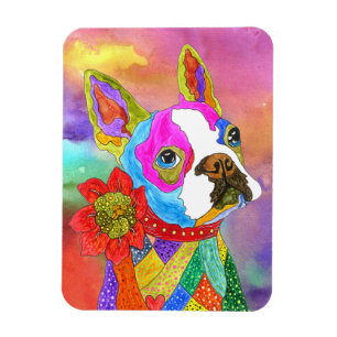 Boston Terrier Magnet 3"x4"