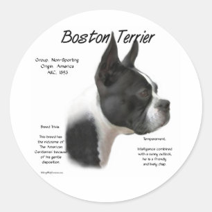 Boston Terrier Meet the Breed Sticker