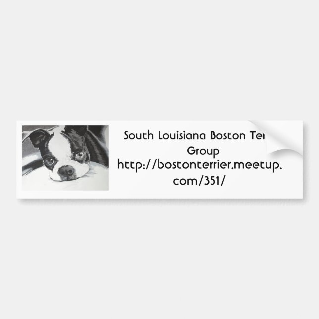 Boston Terrier Meetup Group Bumper Sticker (Front)