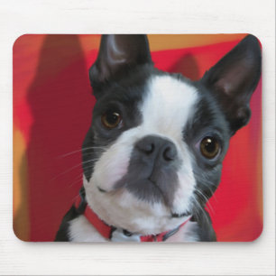 Boston Terrier Mousepad