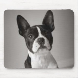 Boston Terrier Mousepad