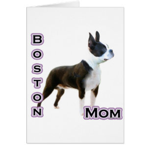 Boston Terrier Mum 4