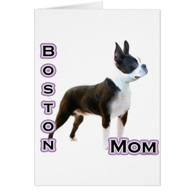 Boston  Terrier Mum 4 (Front)