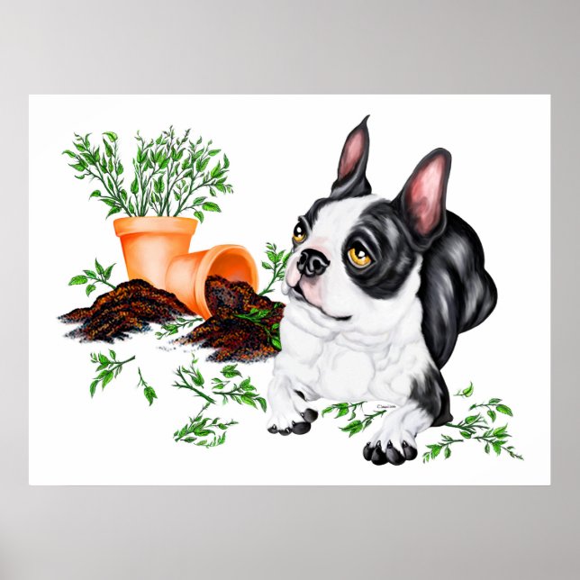 Boston Terrier Naughty Pup Poster (Front)