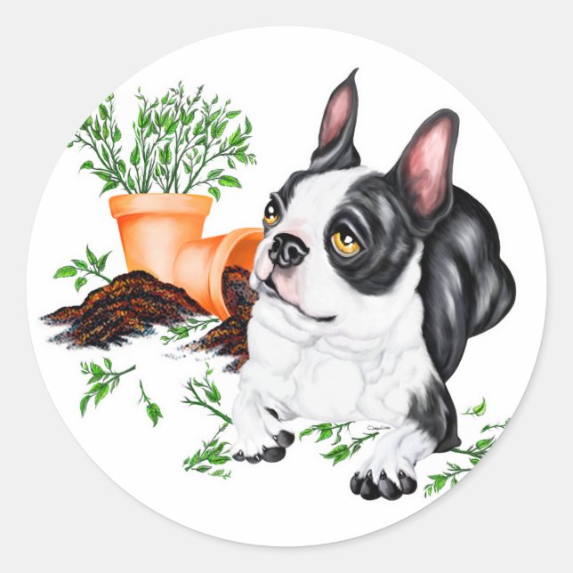 Boston Terrier Naughty Pup Sticker (Front)