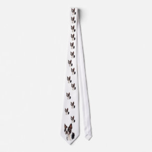Boston Terrier Neck Tie