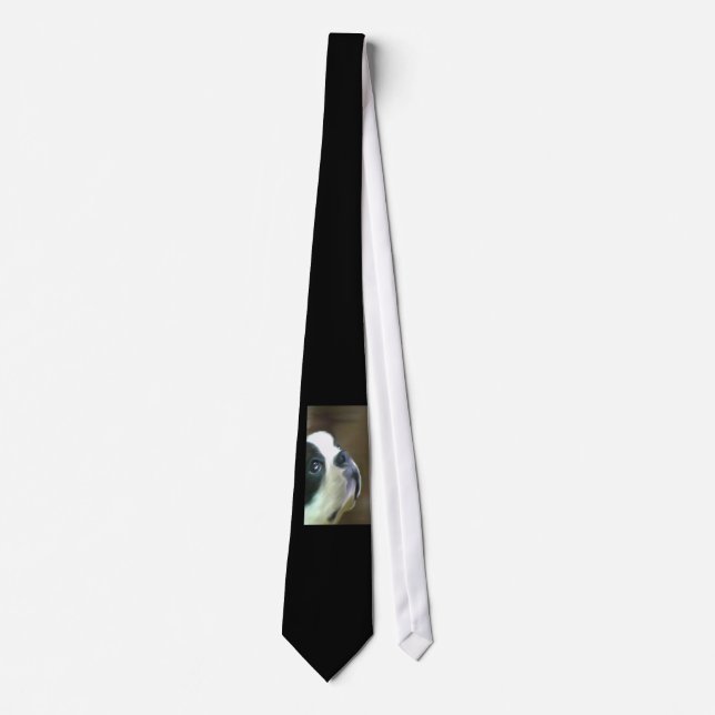 Boston Terrier Neck Tie (Front)