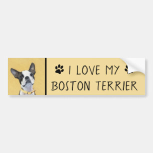 Boston Terrier Painting - Cute Original Dog Art Bumper Sticker