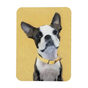 Boston Terrier Painting - Cute Original Dog Art Magnet