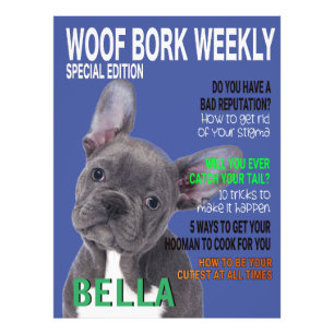 Boston Terrier Parody Magazine Cover Photo Print