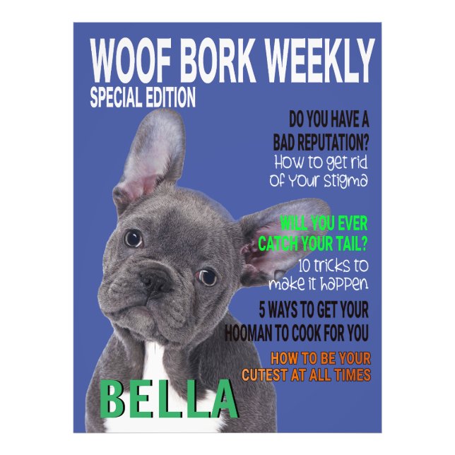 Boston Terrier Parody Magazine Cover Photo Print (Front)