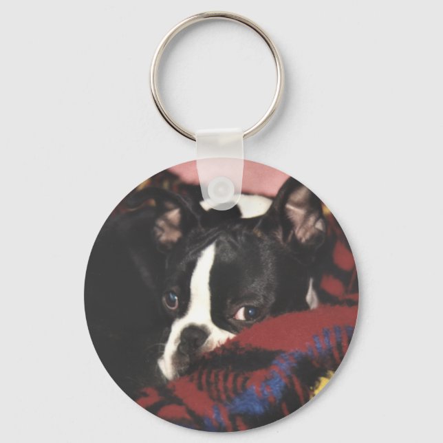 Boston Terrier:  Peek-a-Boo Key Ring (Front)
