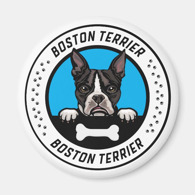 Boston Terrier Peeking Illustration Badge Magnet (Front)