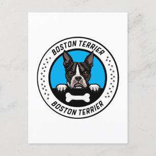 Boston Terrier Peeking Illustration Badge Postcard