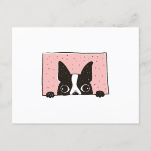 Boston Terrier Peeking Postcard