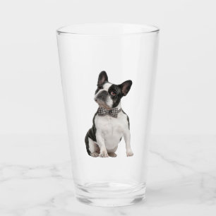 Boston Terrier Pet Animal  Glass